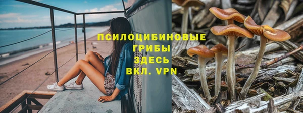 кокс Аркадак