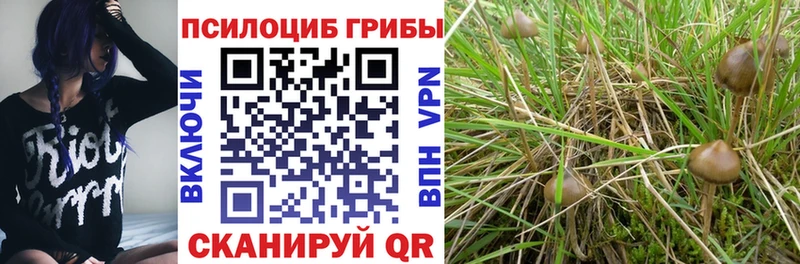 Галлюциногенные грибы ЛСД Купить закладки Семилуки