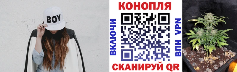 Канабис планчик Семилуки